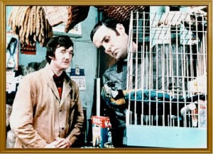Michael Palin, John Cleese and a dead parrot, in Monty Python's Dead Parrot Sketch