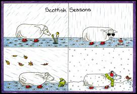 Shades in the rain? Cool!