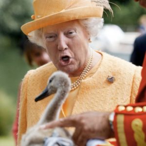 I'd be a great queen. I'd be the best queen you've ever seen. Also, a poet. I'd be a great queen. I'd be the best queen you've ever seen. Also, a poet.