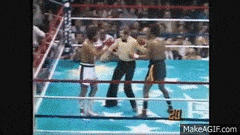 I'm a Marvellous Marvin Hagler man, myself I'm a Marvellous Marvin Hagler man, myself