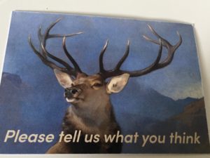 "The stag loves social justice and nosebleed techno" – Ricky, aged 21 and 2/3 years old "The stag loves social justice and nosebleed techno" – Ricky, aged 21 and 2/3 years old