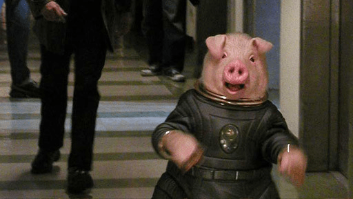 But Space Pig, it's the other way!